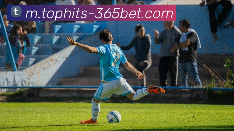 365bet平台生态图